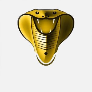 اشتراك Cobra Gold IPTV